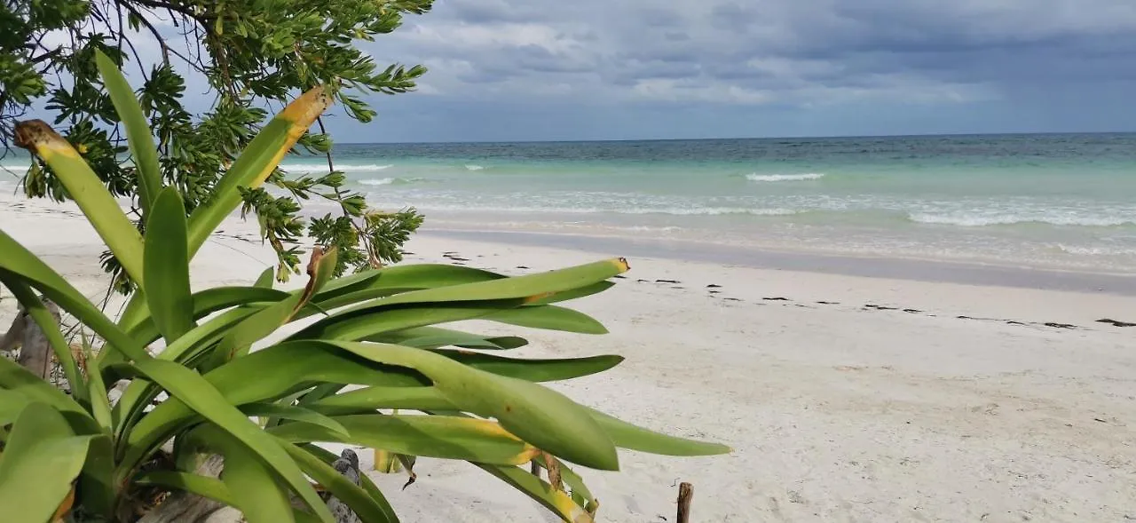 Hotel Casa Hayhu à Mahahual Mexique